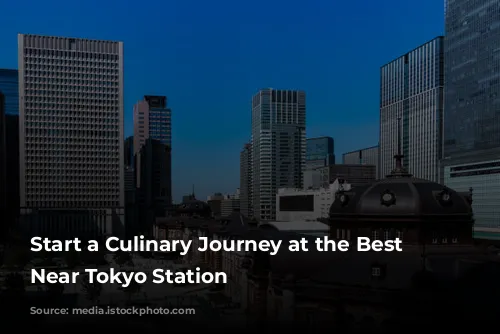 Start a Culinary Journey at the Best Restaurants Near Tokyo Station