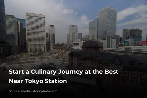 Start a Culinary Journey at the Best Restaurants Near Tokyo Station