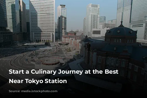 Start a Culinary Journey at the Best Restaurants Near Tokyo Station