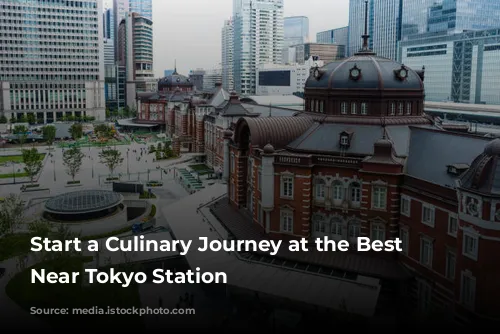 Start a Culinary Journey at the Best Restaurants Near Tokyo Station