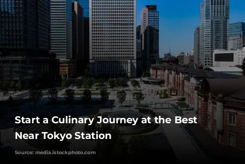 Start a Culinary Journey at the Best Restaurants Near Tokyo Station