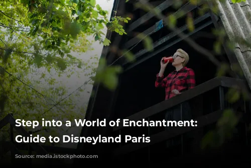 Step into a World of Enchantment: Your Guide to Disneyland Paris