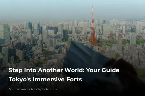 Step Into Another World: Your Guide to Tokyo's Immersive Forts