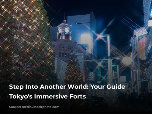 Step Into Another World: Your Guide to Tokyo's Immersive Forts