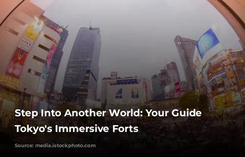 Step Into Another World: Your Guide to Tokyo's Immersive Forts