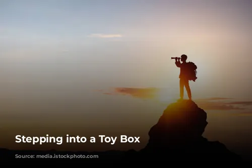  Stepping into a Toy Box 