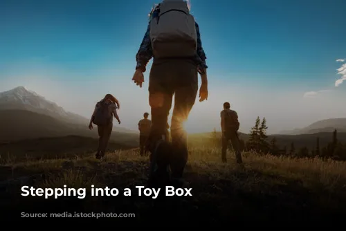  Stepping into a Toy Box 