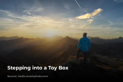  Stepping into a Toy Box 