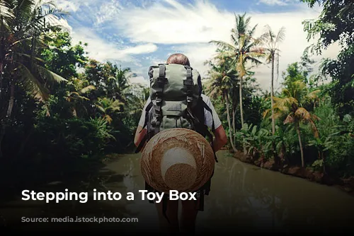  Stepping into a Toy Box 