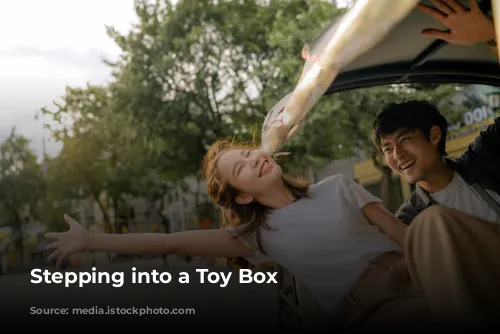  Stepping into a Toy Box 