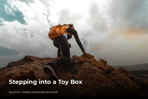  Stepping into a Toy Box 