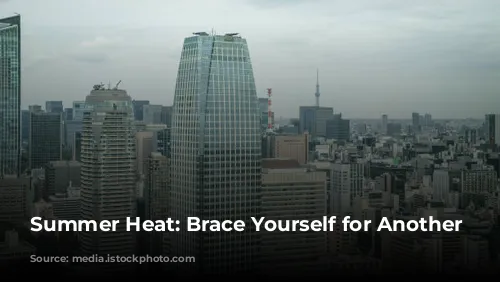 Summer Heat: Brace Yourself for Another Scorcher!