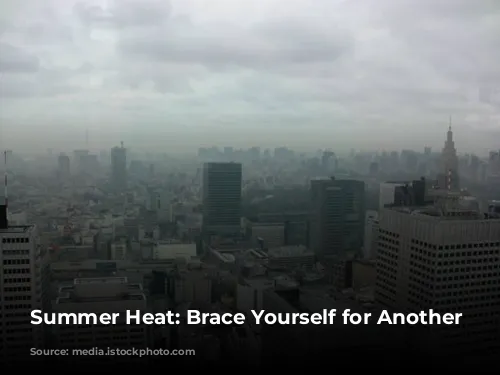 Summer Heat: Brace Yourself for Another Scorcher!