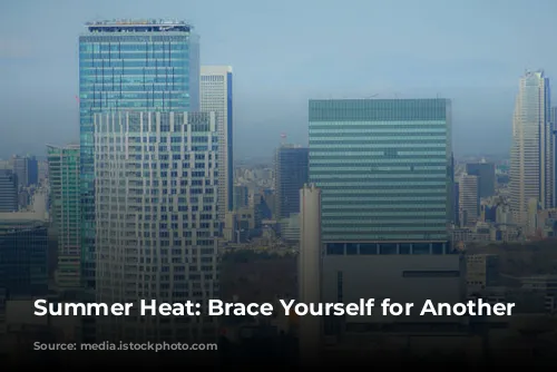 Summer Heat: Brace Yourself for Another Scorcher!