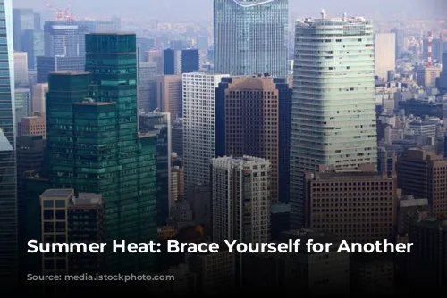 Summer Heat: Brace Yourself for Another Scorcher!