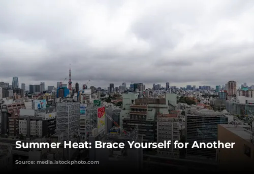 Summer Heat: Brace Yourself for Another Scorcher!