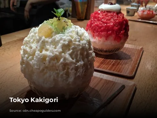 Tokyo Kakigori