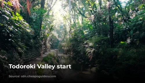 Todoroki Valley start