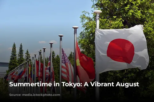 Summertime in Tokyo: A Vibrant August Adventure