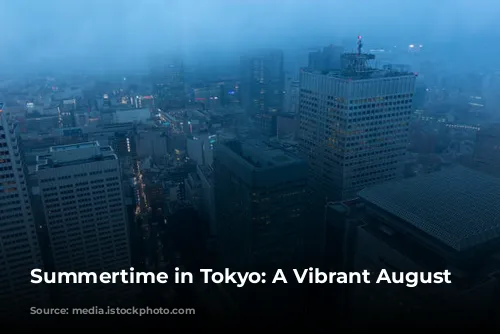 Summertime in Tokyo: A Vibrant August Adventure