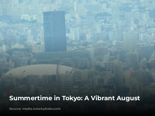 Summertime in Tokyo: A Vibrant August Adventure