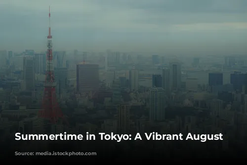 Summertime in Tokyo: A Vibrant August Adventure