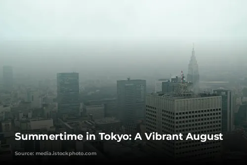 Summertime in Tokyo: A Vibrant August Adventure