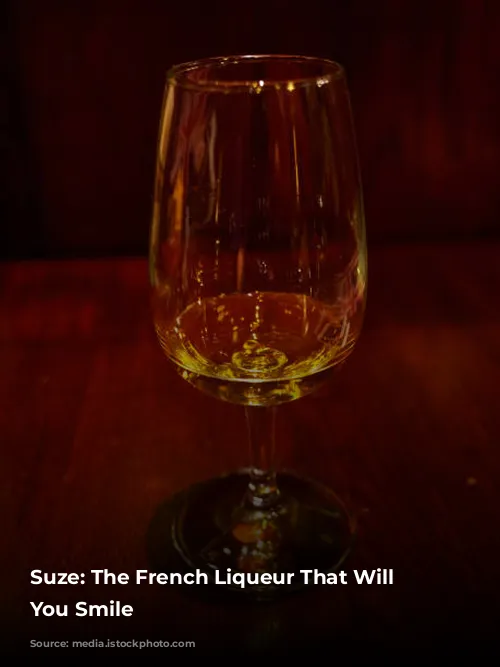 Suze: The French Liqueur That Will Make You Smile