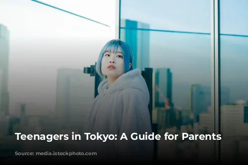 Teenagers in Tokyo: A Guide for Parents