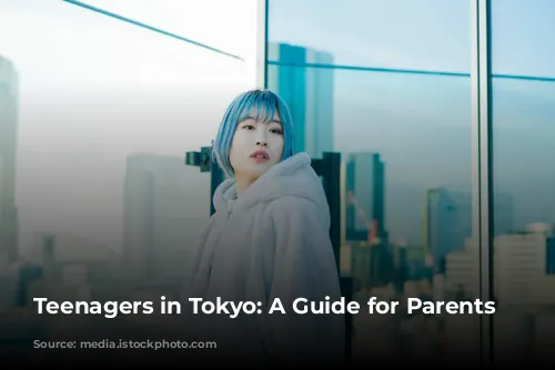 Teenagers in Tokyo: A Guide for Parents