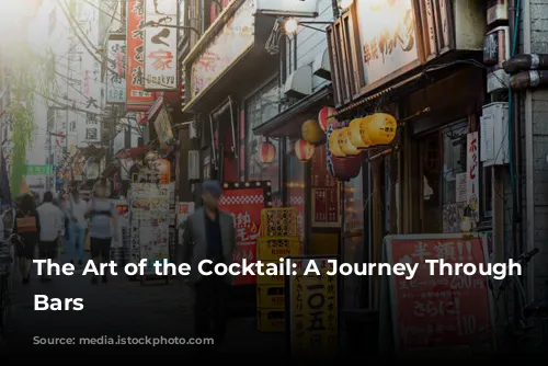 The Art of the Cocktail: A Journey Through Tokyo's Bars