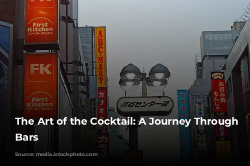 The Art of the Cocktail: A Journey Through Tokyo's Bars