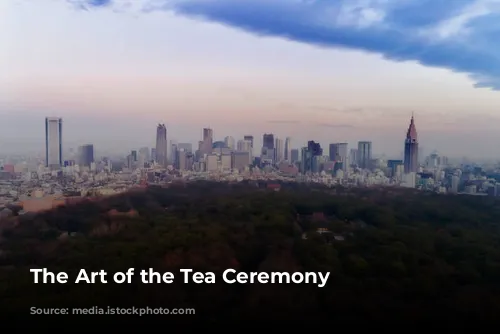 The Art of the Tea Ceremony