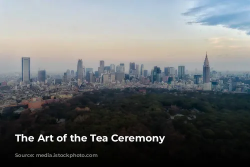 The Art of the Tea Ceremony