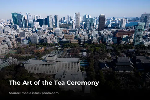 The Art of the Tea Ceremony