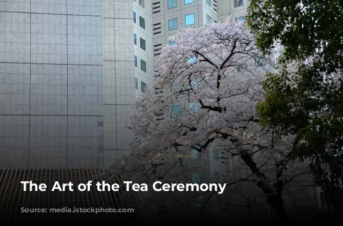 The Art of the Tea Ceremony