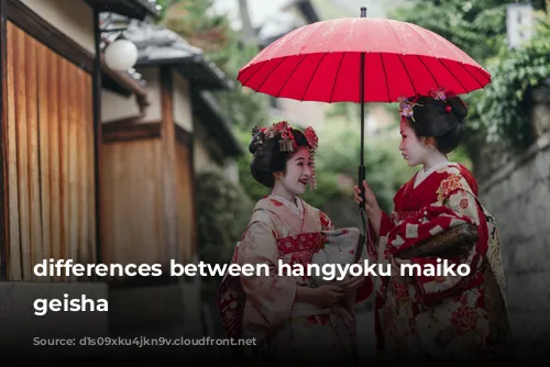 differences between hangyoku maiko and geisha