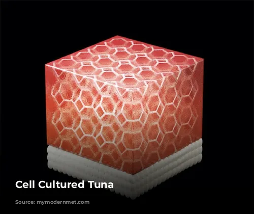 Cell Cultured Tuna