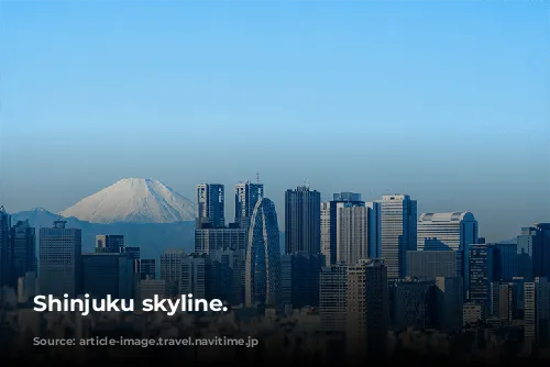 Shinjuku skyline.