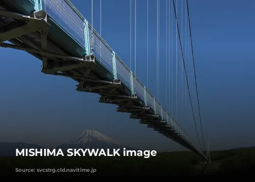 MISHIMA SKYWALK image