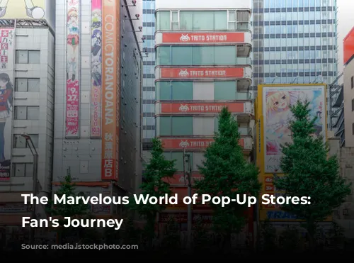 The Marvelous World of Pop-Up Stores: A Fan's Journey