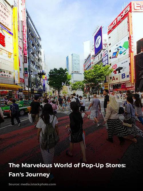 The Marvelous World of Pop-Up Stores: A Fan's Journey