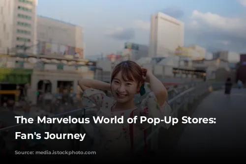 The Marvelous World of Pop-Up Stores: A Fan's Journey