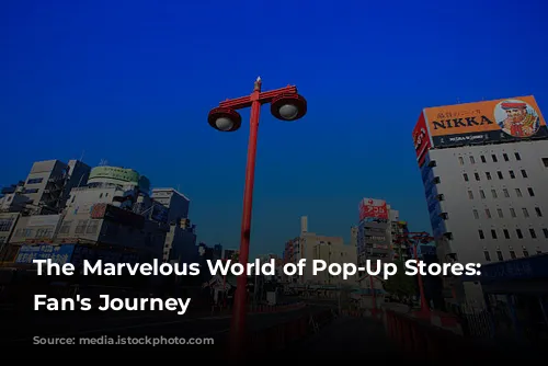 The Marvelous World of Pop-Up Stores: A Fan's Journey