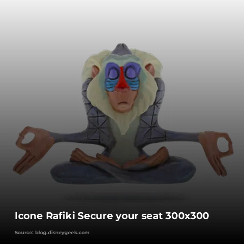 Icone Rafiki Secure your seat 300x300 1