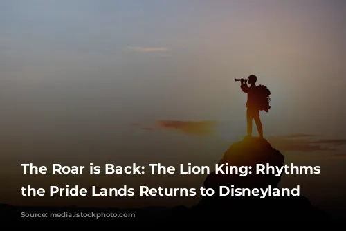 The Roar is Back: The Lion King: Rhythms of the Pride Lands Returns to Disneyland Paris!