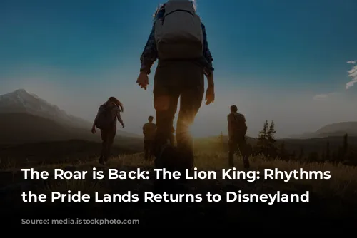 The Roar is Back: The Lion King: Rhythms of the Pride Lands Returns to Disneyland Paris!