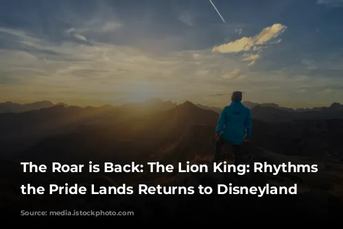 The Roar is Back: The Lion King: Rhythms of the Pride Lands Returns to Disneyland Paris!