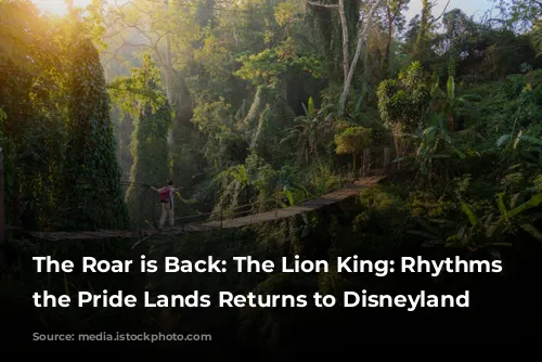 The Roar is Back: The Lion King: Rhythms of the Pride Lands Returns to Disneyland Paris!