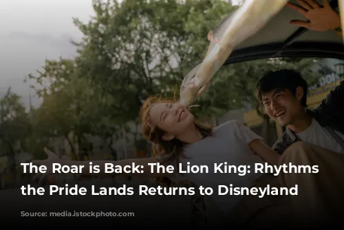 The Roar is Back: The Lion King: Rhythms of the Pride Lands Returns to Disneyland Paris!